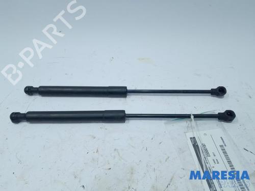 Used Hood lift support RENAULT KANGOO Express (FW0/1_) 1.5 dCi 90 (FW0G, FW05, FW08, FW11) (90 hp) 31505249