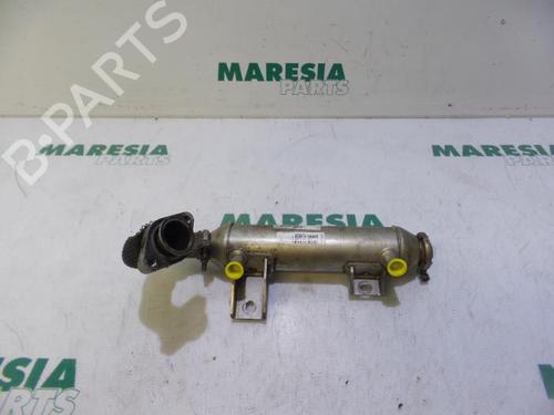 BP31494843M63 main image