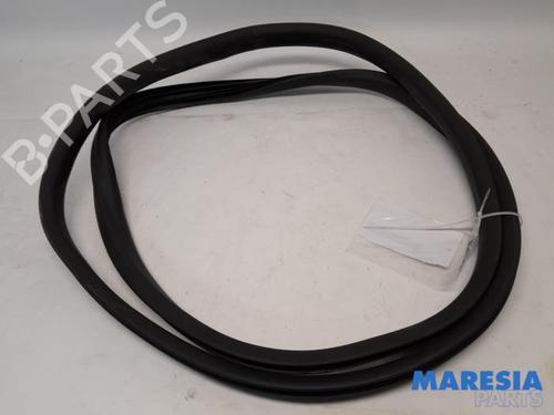 Used Rubber door seal RENAULT ZOE (BFM_) ZOE (BFMD) (109 hp) 31393307