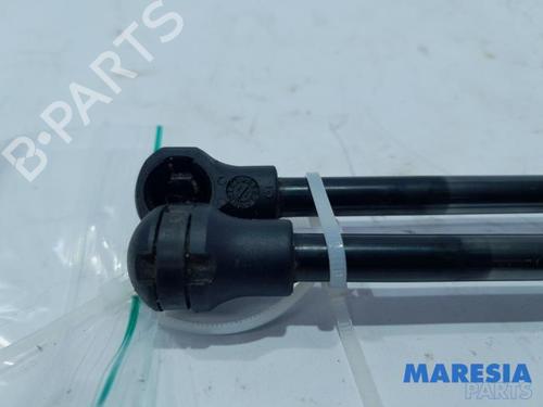 Tailgate lift support CITROËN C3 II (SC_) 1.6 HDi | BP31462046C138  - Image 6