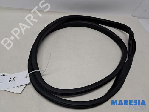 Gummiliste RENAULT CAPTUR I (J5_, H5_) 1.2 TCe 120 (120 hp) 31816451