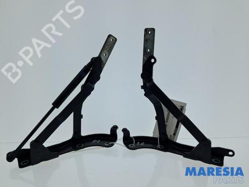 Used Hinge/Door check strap FIAT 500 C (312_) 0.9 (312AG1A) (86 hp) 32069127