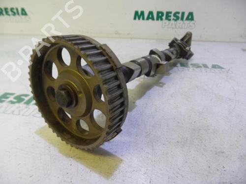 Other FIAT PANDA (169_) 1.2 (169.AXB11, 169.AXB1A) | BP31384966O1