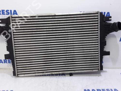 Used Intercooler ALFA ROMEO 159 Sportwagon (939_) 1.9 JTDM 16V (939BXC1B, 939BXC12) (150 hp) 31420173