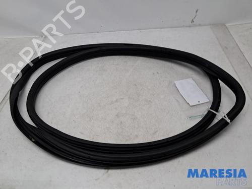 Gummiliste FIAT 500 (312_) 1.2 (312AXA1A) (69 hp) 31527989