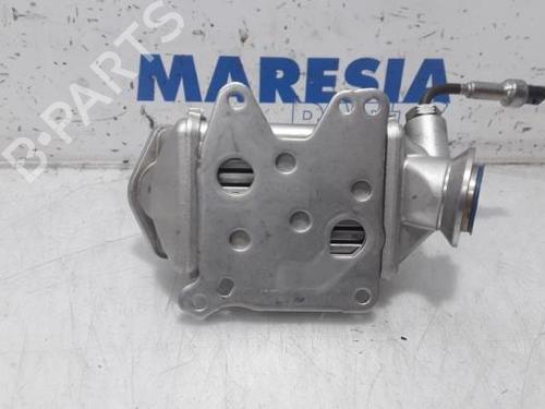 Egr FIAT DOBLO Cargo (263_) 1.3 D Multijet (263ZXT1A, 263WXT1A, 263ZYA1A, 263WYA1A) | BP31488556M69