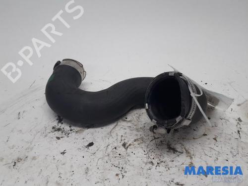 Used Pipe PEUGEOT EXPERT Van (VF3A_, VF3U_, VF3X_) 2.0 HDi 130 (128 hp) 31506483