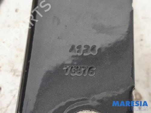 Hinge/Door check strap FIAT PUNTO EVO (199_) 1.3 D Multijet | BP31480038C146