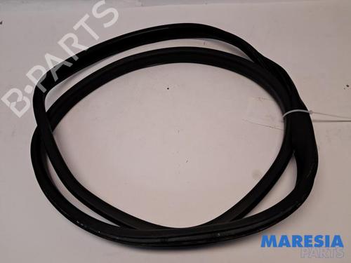 BP31537323C142 main image