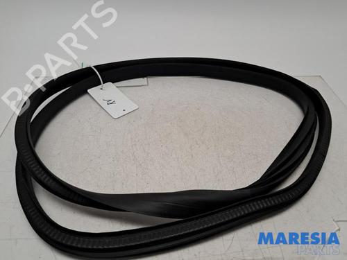 Gummiliste RENAULT MEGANE IV Grandtour (K9A/M/N_) 1.3 TCe 115 (K9N9) (116 hp) 31531392