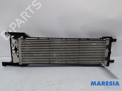 Used Oil radiator ALFA ROMEO GIULIA (952_) 2.9 Quadrifoglio (952AAM24) (510 hp) 31441839