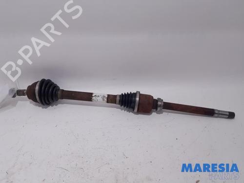 BP31407517M39 main image