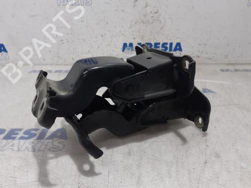 Hinge/Door check strap RENAULT TRAFIC II Van (FL) 2.5 dCi 145 (FL0J) | BP31438561C146