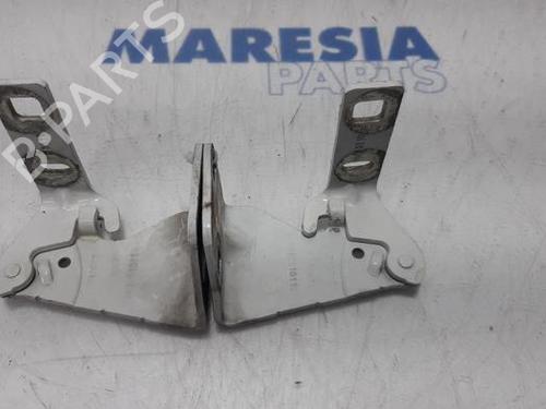 hingedoor-check-strap-renault-trafic-ii-van-fl-2001-31404491 main image