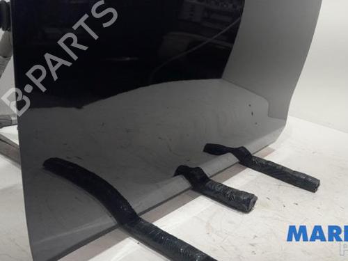 Left front door PEUGEOT 208 I (CA_, CC_) 1.2 VTI 82 | BP31396899C2 