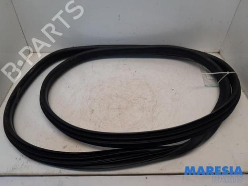 Gummiliste RENAULT ZOE (BFM_) ZOE | BP31434455C142