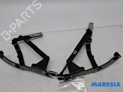 Used Hinge/Door check strap FIAT 500 C (312_) 1.2 (312CXA1A, 312AXA1A) (69 hp) 31529870
