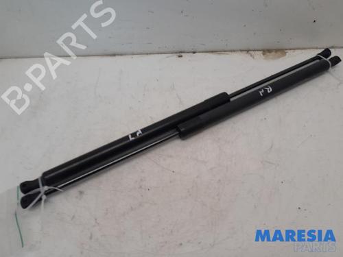 Used Tailgate lift support RENAULT SCÉNIC III (JZ0/1_) 1.4 16V (JZ0F, JZ1V) (131 hp) 31484554