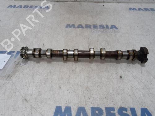 BP31491291O1 main image