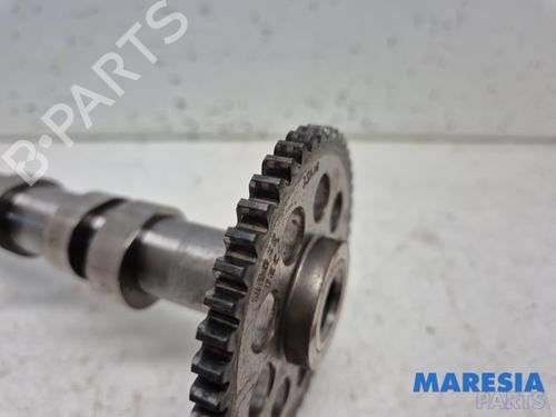 Other FIAT PUNTO (199_) 0.9 | BP31402331O1 