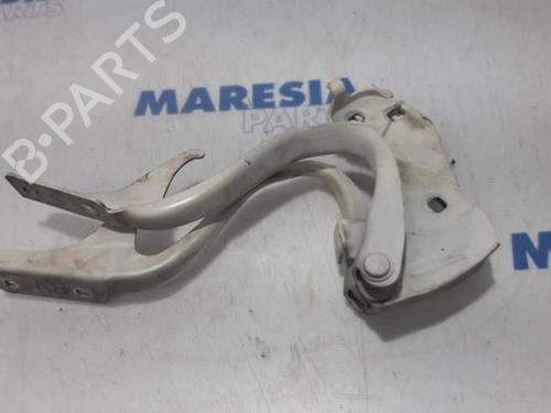 hingedoor-check-strap-fiat-500-c-312_-2009-31417655 main image