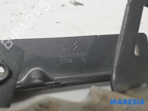 Hinge/Door check strap PEUGEOT 3008 I MPV (0U_) 1.6 THP | BP31496815C146