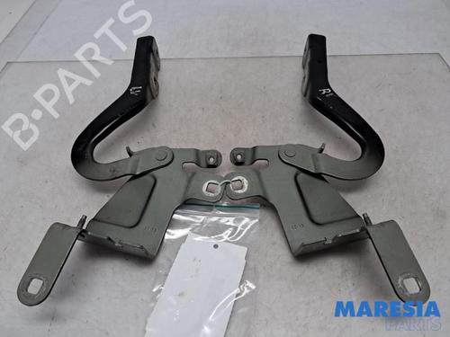 Used Hinge/Door check strap RENAULT CLIO IV Grandtour (KH_) 1.5 dCi 90 (KHN3, KHN4) (90 hp) 31519056