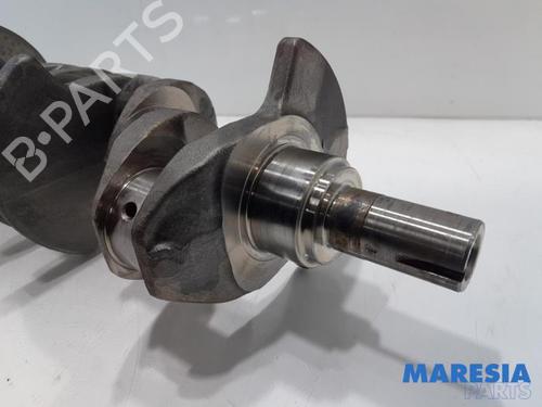 Other RENAULT MEGANE III Hatchback (BZ0/1_, B3_) 1.5 dCi (BZ0C) | BP31387161O1