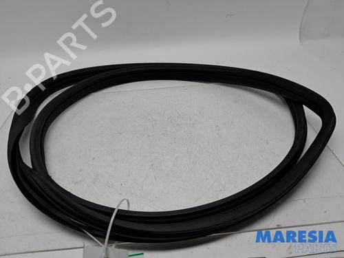 Used Rubber door seal FIAT 500 C (312_) 1.2 (312CXA1A, 312AXA1A) (69 hp) 31469816