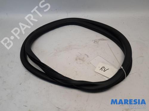 Used Rubber door seal CITROËN C4 III (BA_, BB_, BC_) ë-C4 (BCZKXC, BZCKSC) (136 hp) 31441520