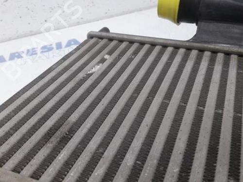 Intercooler PEUGEOT 308 II (LB_, LP_, LW_, LH_, L3_) 1.6 HDi 100 | BP31506255M30