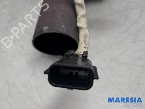 Catalyst RENAULT SCÉNIC III (JZ0/1_) 1.6 16V (JZ0U, JZ1B) | BP32011704M10 