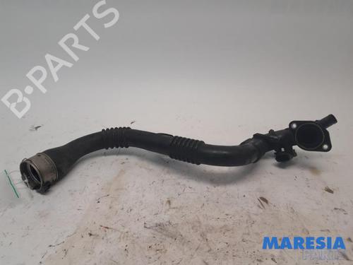 Udstødningssystem RENAULT CLIO IV (BH_) 1.2 TCe 120 (BHM0) (120 hp) 31500001