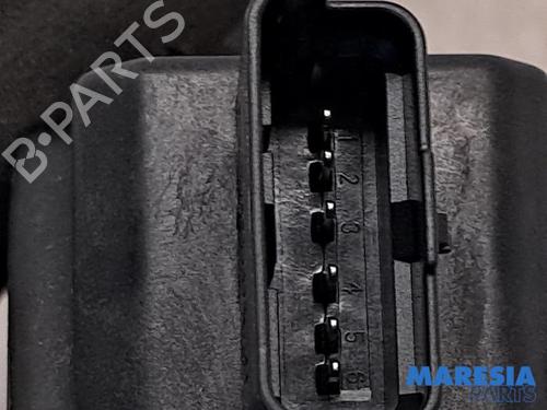 Pedal CITROËN C4 Picasso I MPV (UD_) 1.6 16V | BP31489993I4 