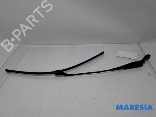 BP31453311C143 main image