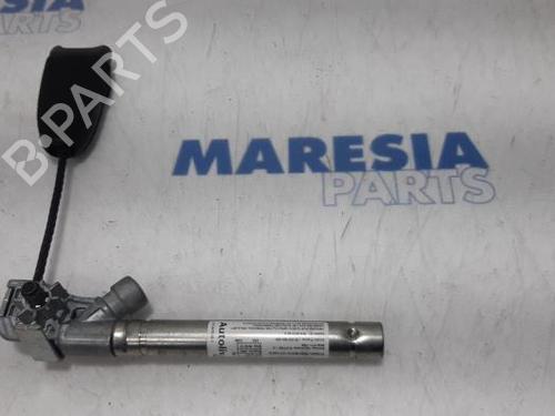 Used Other FIAT PUNTO EVO (199_) 1.3 D Multijet (84 hp) 31504565