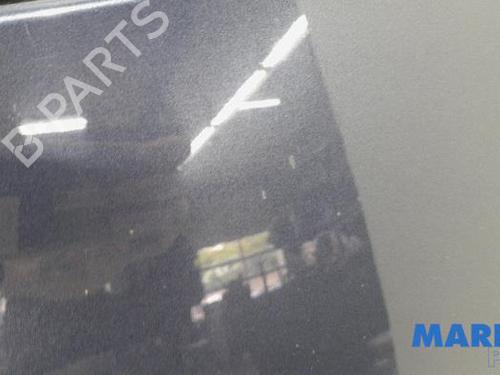 Hood CITROËN C4 Picasso I MPV (UD_) 1.6 16V | BP31469946C1 