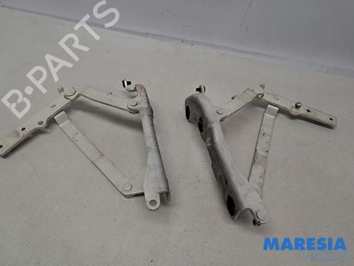 Used Hinge/Door check strap FIAT 500 C (312_) 1.4 (312CXC1B, 312AXC1B) (100 hp) 31816621