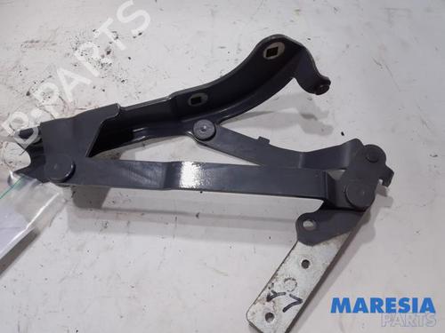 Hinge/Door check strap FIAT 500 C (312_) 1.2 (312CXA1A, 312AXA1A) | BP31429960C146