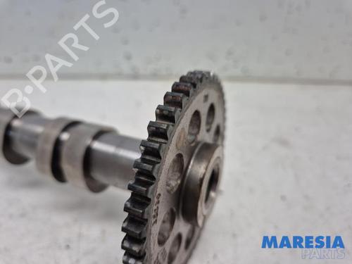 Other FIAT PUNTO (199_) 0.9 | BP31402331O1 