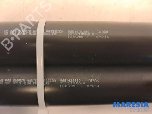 Gasdæmper bagklap CITROËN BERLINGO MULTISPACE (B9) 1.6 VTi 95 | BP31444462C138