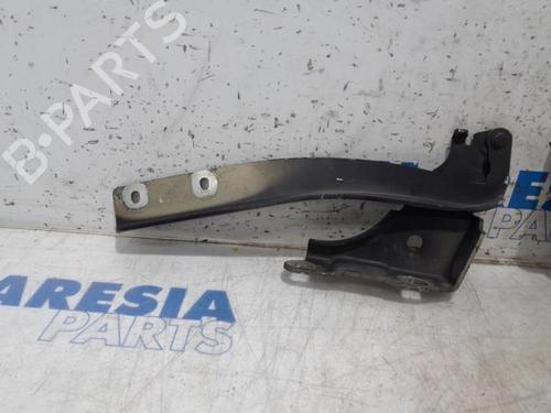 Used Hinge/Door check strap FIAT PUNTO EVO (199_) 1.3 D Multijet (84 hp) 31423665