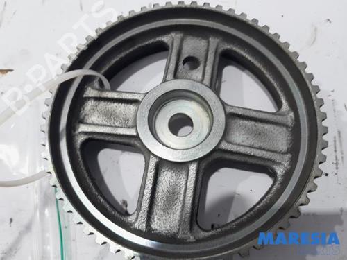 Pulley FIAT 500 (312_) 0.9 (312AXG1A, 312.AXG11) | BP31460582M122