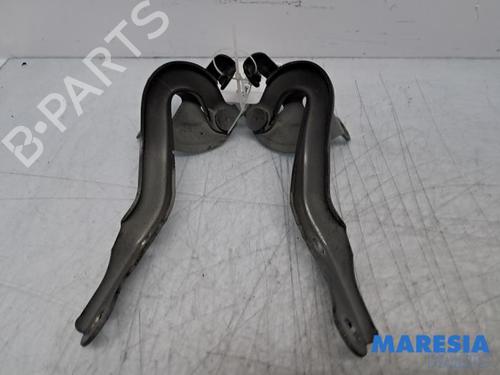 Used Hinge/Door check strap Hinge/Door check strap PEUGEOT 107 (PM_, PN_) 1.0 (68 hp) 33296323 33296323