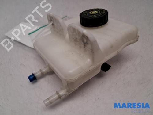 Used Brake fluid reservoir RENAULT ZOE Hatchback Van (BFM_) Electric (BFME) (92 hp) 31477339