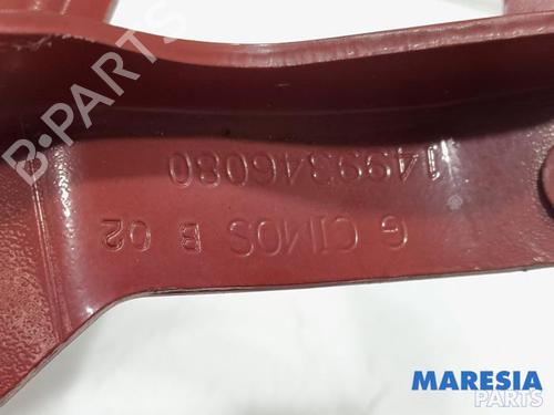 Hinge/Door check strap FIAT SCUDO Van (270_, 272_) 1.6 D Multijet | BP31384725C146