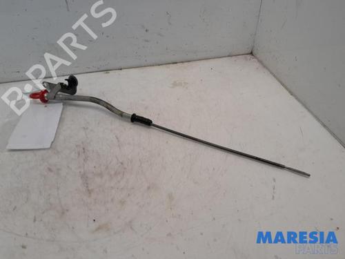 Other FIAT 500 (312_) 1.2 (312AXA1A) | BP31501665O1