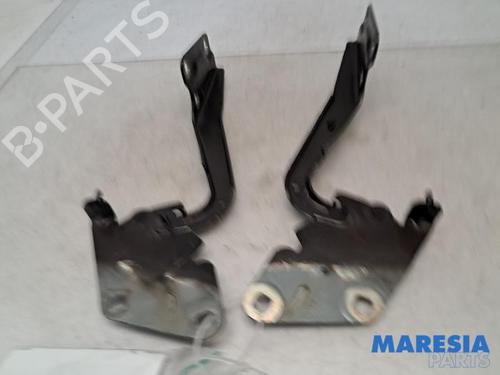 Used Hinge/Door check strap RENAULT MEGANE III Grandtour (KZ0/1) 1.5 dCi (KZ09, KZ0D, KZ1G, KZ29, KZ14, KZ1W, KZ10, KZ1F,... (110 hp) 31490809