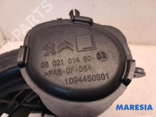 Injection rail CITROËN C4 CACTUS 1.2 THP 110 | BP31399686M98 