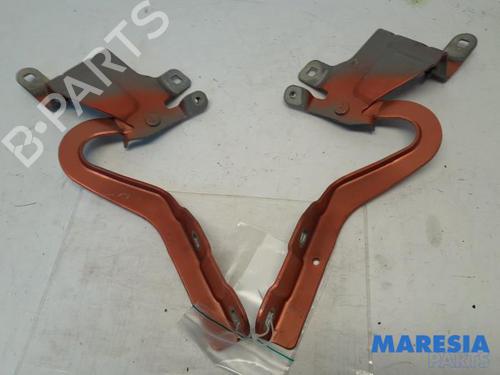 Used Hinge/Door check strap RENAULT CLIO IV Grandtour (KH_) 1.5 dCi 90 (KHN3, KHN4) (90 hp) 31494559